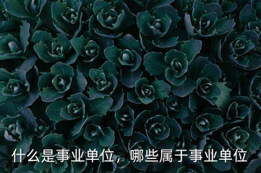 什么是事業(yè)單位，哪些屬于事業(yè)單位