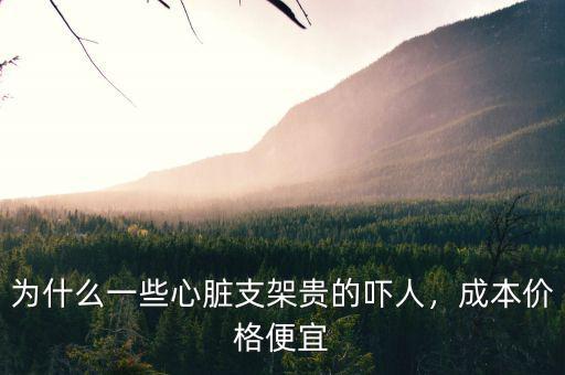 為什么一些心臟支架貴的嚇人，成本價(jià)格便宜