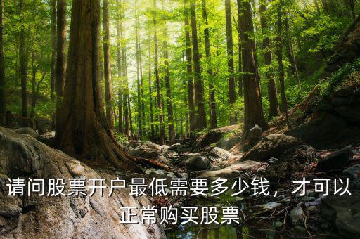 請問股票開戶最低需要多少錢，才可以正常購買股票
