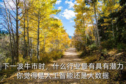 下一波牛市時(shí)，什么行業(yè)最有具有潛力你覺得是人工智能還是大數(shù)據(jù)