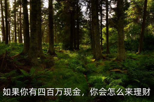 如果你有四百萬(wàn)現(xiàn)金，你會(huì)怎么來(lái)理財(cái)