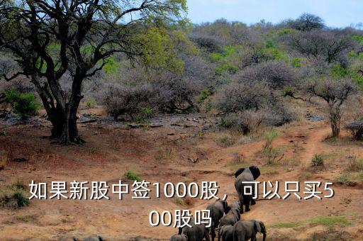 如果新股中簽1000股，可以只買500股嗎