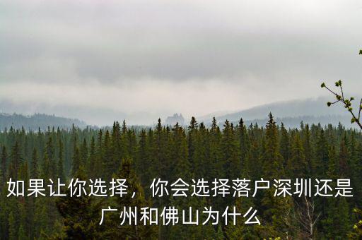 如果讓你選擇，你會(huì)選擇落戶深圳還是廣州和佛山為什么