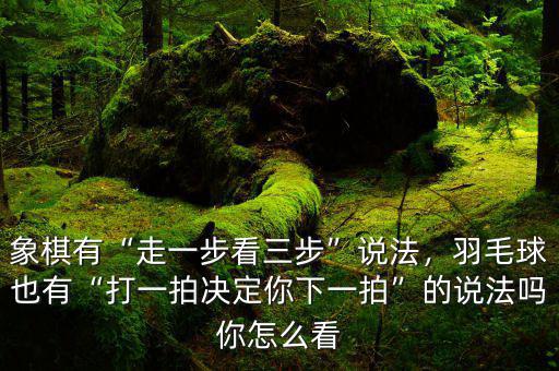 象棋有“走一步看三步”說(shuō)法，羽毛球也有“打一拍決定你下一拍”的說(shuō)法嗎你怎么看