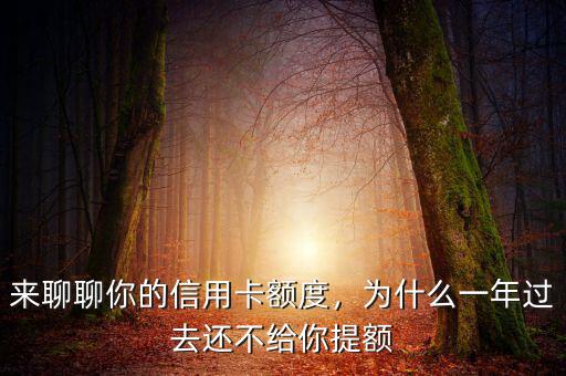 來聊聊你的信用卡額度，為什么一年過去還不給你提額