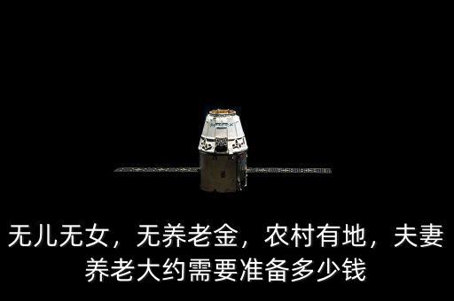 無兒無女，無養(yǎng)老金，農(nóng)村有地，夫妻養(yǎng)老大約需要準備多少錢