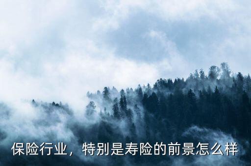 保險(xiǎn)行業(yè)，特別是壽險(xiǎn)的前景怎么樣