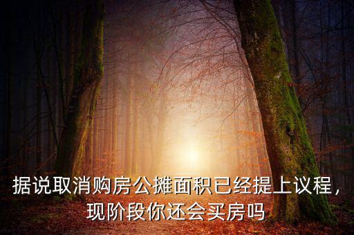 據(jù)說(shuō)取消購(gòu)房公攤面積已經(jīng)提上議程，現(xiàn)階段你還會(huì)買(mǎi)房嗎