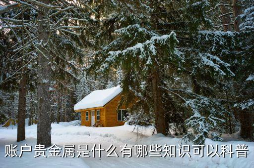 貴金屬理財(cái)幣有什么風(fēng)險,賬戶貴金屬是什么