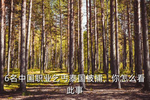 6名中國職業(yè)乞丐泰國被捕，你怎么看此事