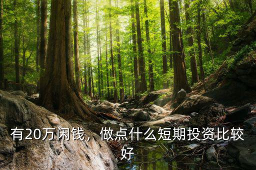 有20萬閑錢，做點什么短期投資比較好