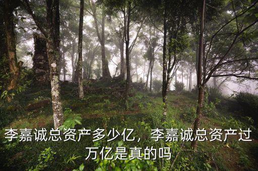 李嘉誠(chéng)總資產(chǎn)多少億，李嘉誠(chéng)總資產(chǎn)過萬(wàn)億是真的嗎
