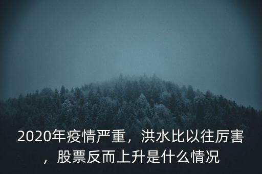 2020年疫情嚴重，洪水比以往厲害，股票反而上升是什么情況