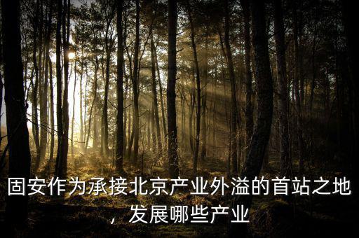固安作為承接北京產(chǎn)業(yè)外溢的首站之地，發(fā)展哪些產(chǎn)業(yè)