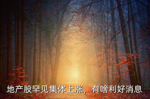 最近地產股怎么樣,最近地產股開始反彈