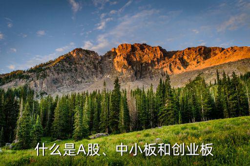 什么是A股、中小板和創(chuàng)業(yè)板