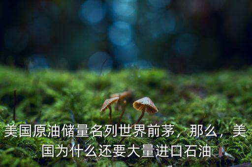 美國原油儲量名列世界前茅，那么，美國為什么還要大量進口石油