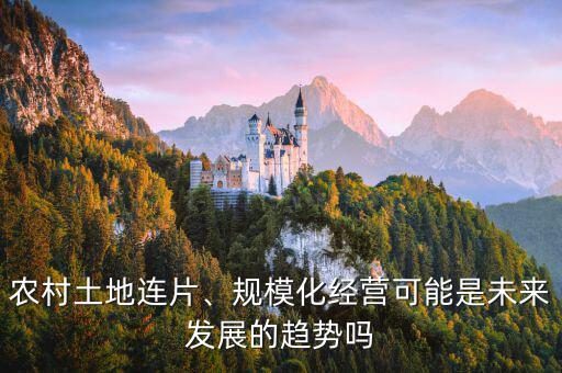 農(nóng)村土地連片、規(guī)?；?jīng)營可能是未來發(fā)展的趨勢嗎