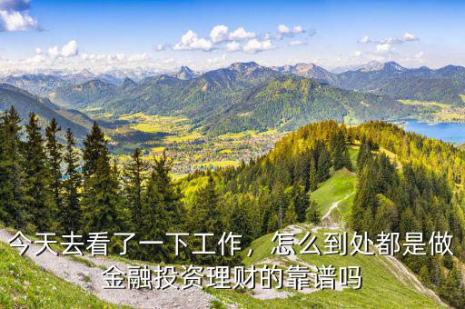 今天去看了一下工作，怎么到處都是做金融投資理財(cái)?shù)目孔V嗎