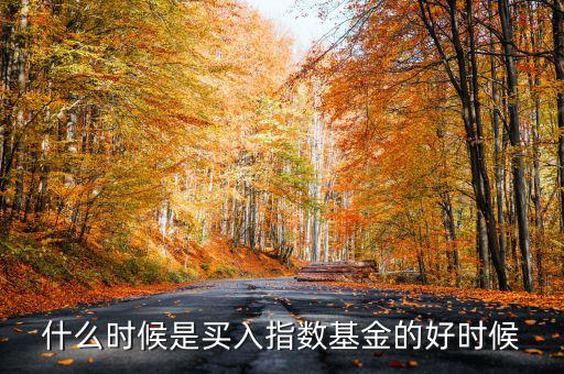 指數(shù)基金什么時(shí)候買(mǎi),什么時(shí)候續(xù)回