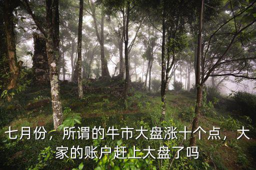 七月份，所謂的牛市大盤漲十個點，大家的賬戶趕上大盤了嗎