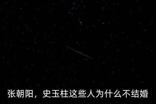 張朝陽，史玉柱這些人為什么不結婚