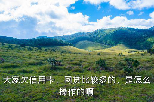 大家欠信用卡，網(wǎng)貸比較多的，是怎么操作的啊