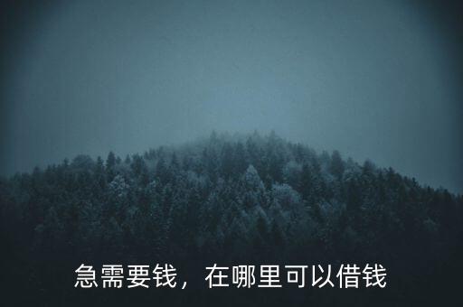 急需要錢(qián)，在哪里可以借錢(qián)