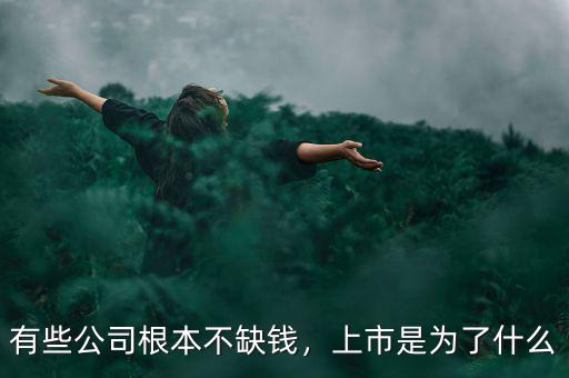 有些公司根本不缺錢，上市是為了什么