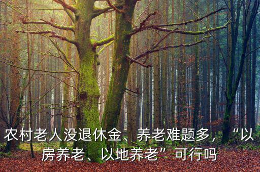 農(nóng)村老人沒(méi)退休金、養(yǎng)老難題多，“以房養(yǎng)老、以地養(yǎng)老”可行嗎