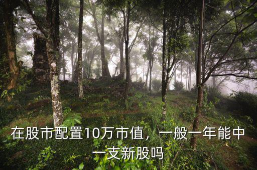 在股市配置10萬市值，一般一年能中一支新股嗎