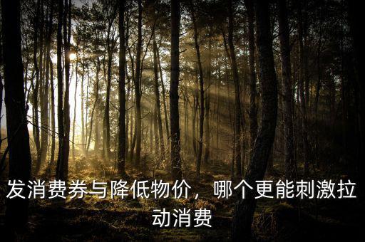 發(fā)消費券與降低物價，哪個更能刺激拉動消費