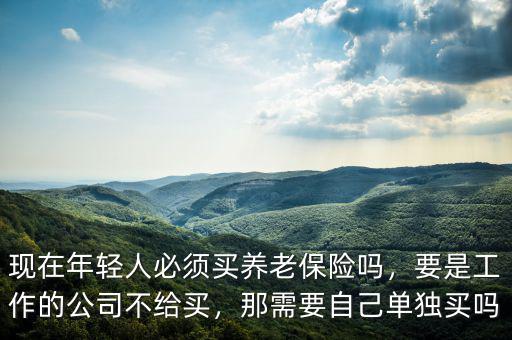 現(xiàn)在年輕人必須買養(yǎng)老保險(xiǎn)嗎，要是工作的公司不給買，那需要自己單獨(dú)買嗎