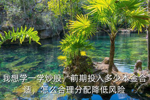 我想學(xué)一學(xué)炒股，前期投入多少本金合適，怎么合理分配降低風(fēng)險(xiǎn)