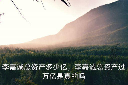 李嘉誠總資產(chǎn)多少億，李嘉誠總資產(chǎn)過萬億是真的嗎