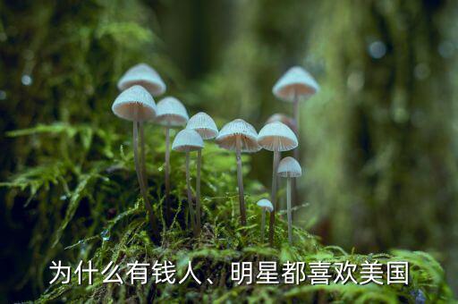 為什么有錢人、明星都喜歡美國(guó)