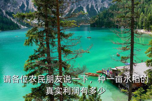 請(qǐng)各位農(nóng)民朋友說一下，種一畝水稻的真實(shí)利潤(rùn)有多少
