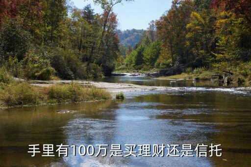 手里有100萬(wàn)是買(mǎi)理財(cái)還是信托