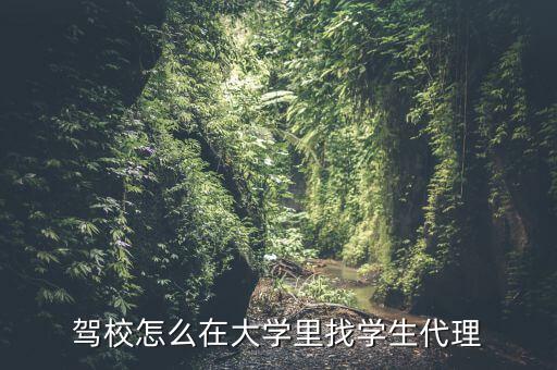 駕校怎么在大學里找學生代理