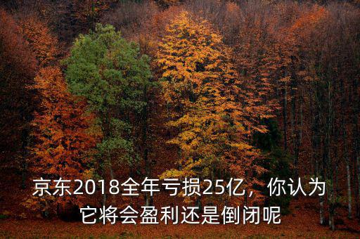 京東2018全年虧損25億，你認為它將會盈利還是倒閉呢