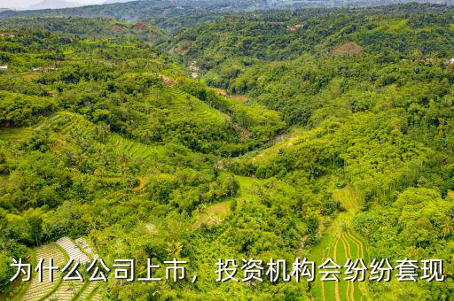 為什么公司上市，投資機構會紛紛套現(xiàn)