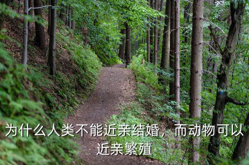 為什么人類不能近親結(jié)婚，而動物可以近親繁殖