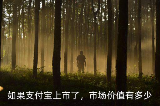 如果支付寶上市了，市場價值有多少