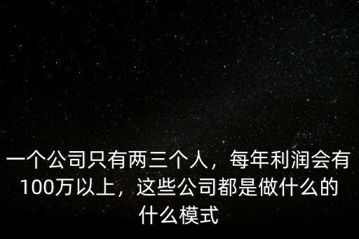 一個公司只有兩三個人，每年利潤會有100萬以上，這些公司都是做什么的什么模式