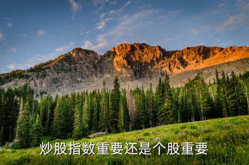 為什么上證指數重要,為什么股票都說上證指數