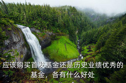 應(yīng)該購買首發(fā)基金還是歷史業(yè)績優(yōu)秀的基金，各有什么好處