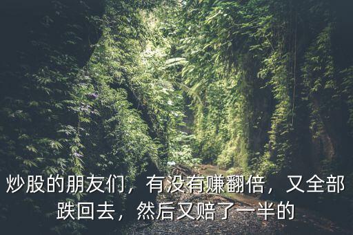 炒股的朋友們，有沒有賺翻倍，又全部跌回去，然后又賠了一半的
