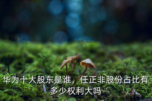 華為十大股東是誰，任正非股份占比有多少權(quán)利大嗎