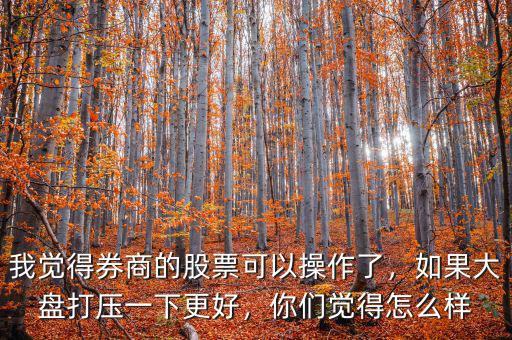 我覺得券商的股票可以操作了，如果大盤打壓一下更好，你們覺得怎么樣