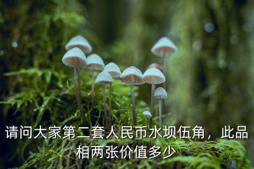 請問大家第二套人民幣水壩伍角，此品相兩張價值多少
